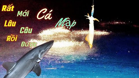 Loài cá mà ngư dân luôn khiếp sợ #sóng biển hứa đông