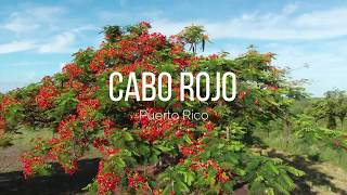 Things to do in Cabo Rojo, Puerto Rico