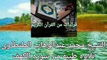 من التسجيلات النادره للشيخ محمد عبدالوهاب الطنطاوى وماتيسر من سوره الكهف روووووعه
