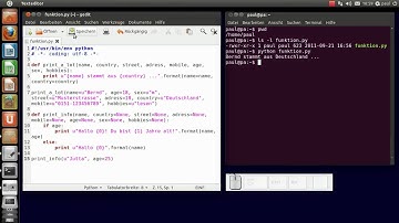 Python-Programmierung - Funktionen (Teil 3)