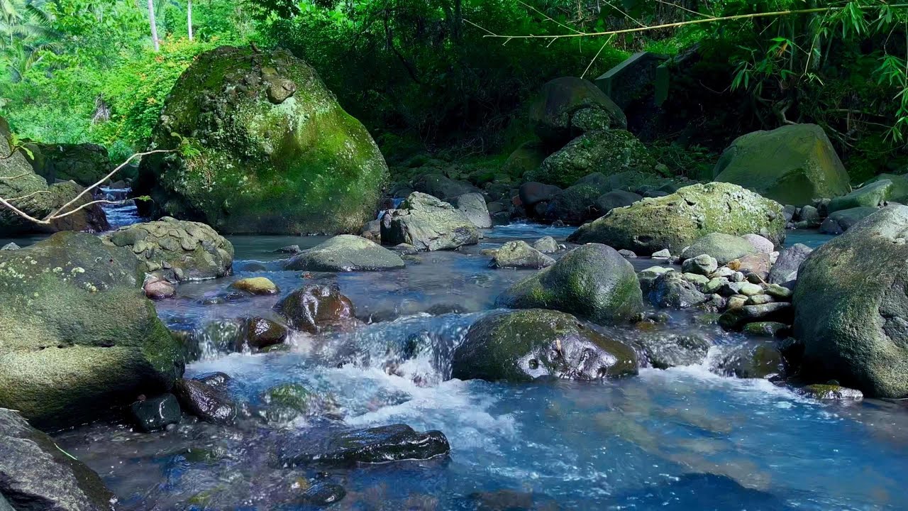 Silent River Flow for Deep Relaxation and Sleep | sleep - relax - enjoy life - ASMR