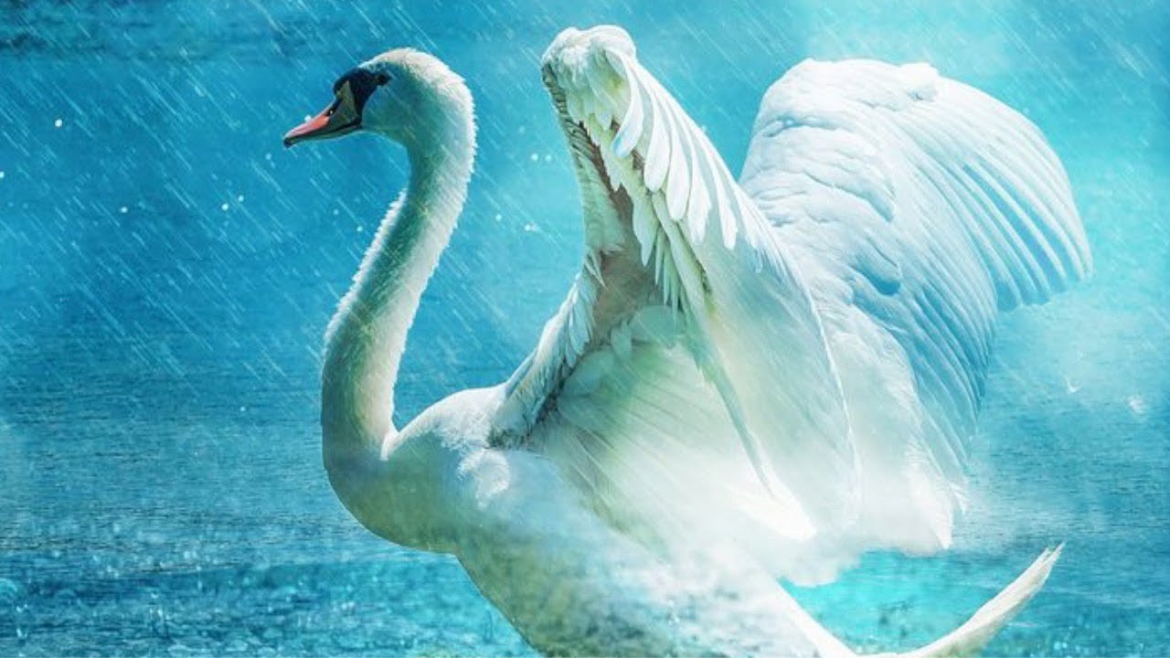 【運が良くなる】涙が出るほど嬉しいことが次々に起きる・奇跡が起こる💗クリスタル・雨の音