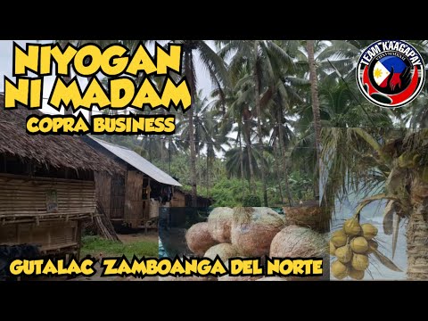COCONUT FARM NI MADAM @delatorrevlogs #coconutfarm #zamboangadelnorte #travel