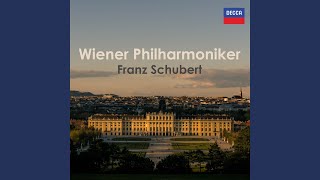 Schubert: Symphony No. 1 in D Major, D. 82: I. Adagio – Allegro vivace