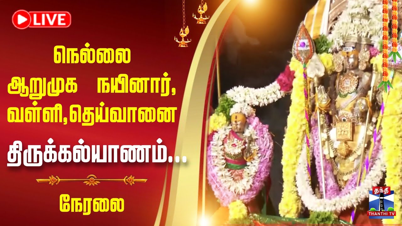 🔴LIVE : Nellai Murugun Thirukalyanam | நெல்லை ஆறுமுக நயினார் - வள்ளி - தெய்வானை  திருக்கல்யாணம்