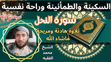 تلاوة ممتعة رائعة  سكينة وطمأنينة راحة نفسية تامة سورة النحل الشيخ محمد الفقيه