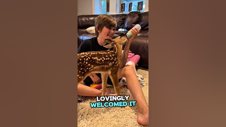 Kind woman rescues a baby deer 🦌♥️