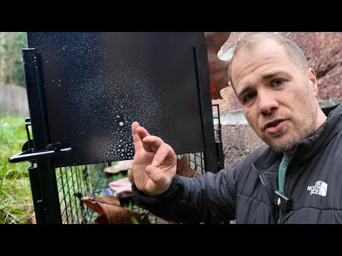 Poser des cages à fouine : ma méthode filmée sur le terrain