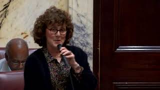 Senate Floor Session, 4/4/2024 #2