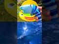 Kids Learn | Sea Animal Names at the Bumblebee Pool: Sperm Whale Sea Dragon Shark Lion Fish
