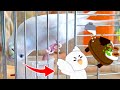 発情するとボレー粉ぶちまけるのなんで？撒き散らし過ぎてカラッポです…