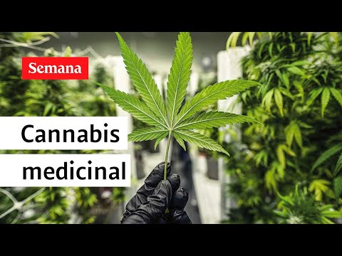 Los colombianos afiliados a EPS podrán acceder a Cannabis medicinal | Videos Semana