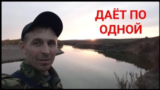 Нура. Рыбалка на налима.