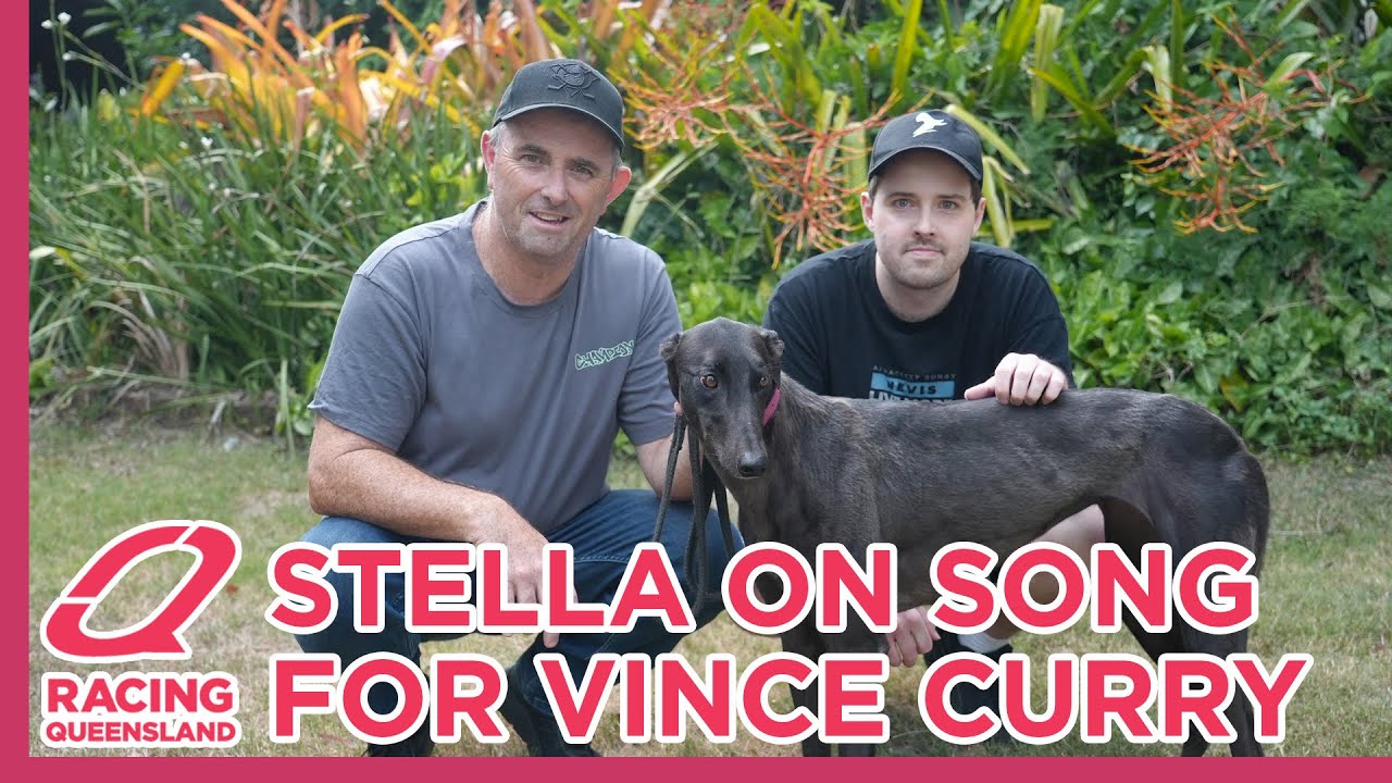 Команда Джонстона возлагает большие надежды на свою подопечную Стеллу.