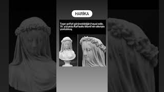 Download Lagu Sanat #kedi #sevkiyat #music #aşk #askbuyusu #memes #dehlizsiir #kpop #cat MP3 Download Lagu Sanat #kedi #sevkiyat #music #aşk #askbuyusu #memes #dehlizsiir #kpop #cat MP3