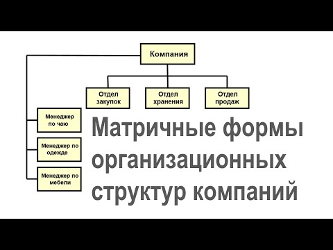 Матричные формы организационных структур компаний