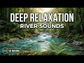 Gentle Stream With Forest River 🌿 Waterfall Sounds For Deep Sleep And Calm