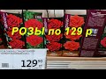 В АШАН! 🌹 Спеши ЗА розами по 129 р!/ КАК СОХРАНИТЬ/Рододендроны/Гортензия/Смородина