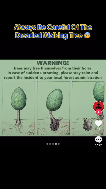 Always Be Careful Of The Dreaded Walking Tree 😰 #interesting