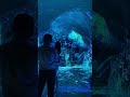 Step inside and experience something different