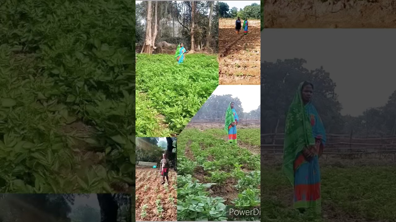 IGA through convergence & Revolving Fund by Poorest of Poor