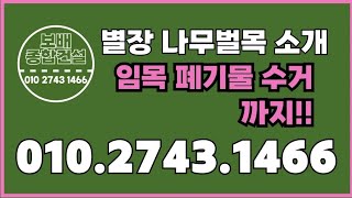 17)별장 나무벌목 소개 임목 폐기물 수거까지 #나무벌목 #나무제거