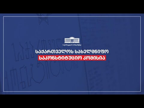 ირაკლი კობახიძის და თამარ ჩუგოშვილის გამოსვლა სახელმწიფო საკონსტიტუციო კომისიის პირველ სხდომაზე
