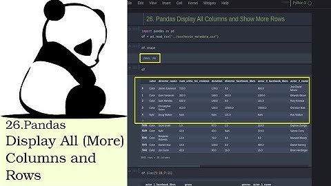 Pandas DISPLAY ALL ROWS, Values and Columns
