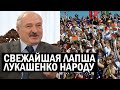 СРОЧНО! Лукашенко начал "ПОДКУПАТЬ" беларусов! Обещания - МЁД! Но все ПОСЫЛАЮТ таракана - новости