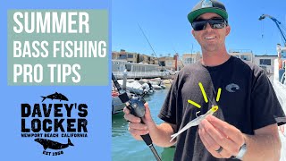 Summer Bass Fishing Pro Tips |Zoom Flukes, Lead Head | Newport Beach Coastal Structure Bass Fishing