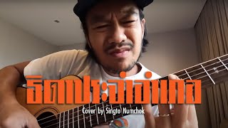 เพลง ธิดาประจําอําเภอ The Richman Toy (COVER) สิงโต นำโชค