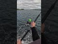 full video available on my channel #fishing #landbasedfishing #boat