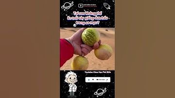 Tại sao không thể ăn trái cây giống dưa hấu trong sa mạc ? | Khoa Học Phổ Biến #shorts