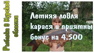 Летняя ловля карпа и неожиданный бонус на 4,5 кг