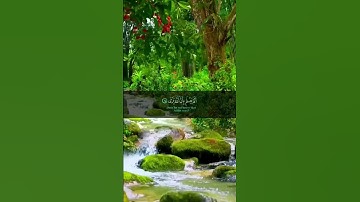 #تلاوة #هادئة #القرآن_الكريم #لاتهجروا_القرآن #ارح_سمعك