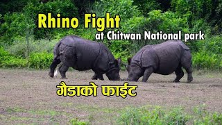 Rhino fight at Chitwan National Park | यस्तो पो हुदो रैछ गैंडाको फाइट | Rhino 2020