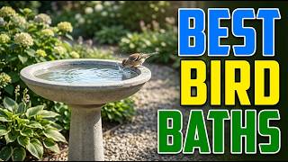 TOP 5 Best Bird Baths For Gardens 2026