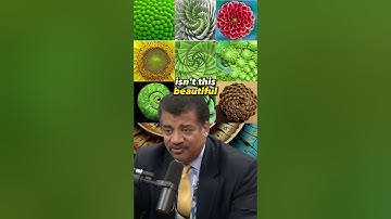 Unraveling the Fibonacci Mystery in Nature | Neil deGrasse Tyson on Joe Rogan Experience #1347