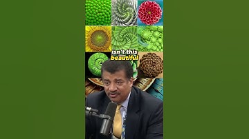 Unraveling the Fibonacci Mystery in Nature | Neil deGrasse Tyson on Joe Rogan Experience #1347