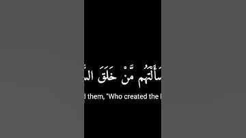 قراءة عبد الرحمان مسعد #فلسطين #قرآن #قران_كريم #راحة_نفسية #سورة #غزة #استغفر_الله #عبدالرحمن_مسعد