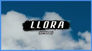 PDR  -  LLORA (EXTENDED)