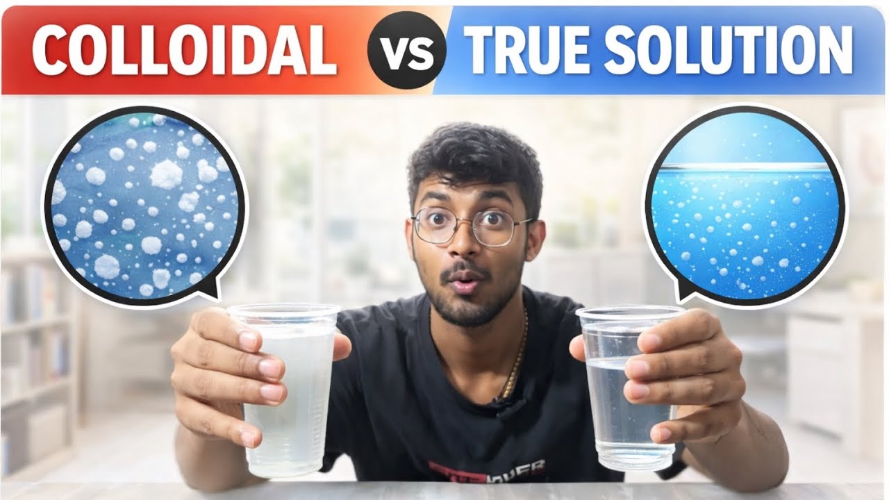 Difference between colloidal solution and true solution with experiment ...