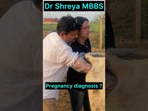 Pregnancy diagnosis l Dr umar khan