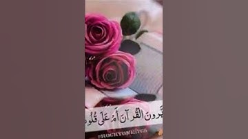 قرآن كريم راحة البال ماهر المعيقلي