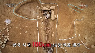 [속보] 삼국시대 180cm 최장신 인골 발굴되다! 과연 신라인?