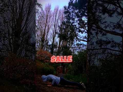 Vous Vous Forcez à Aller à La Salle Gym Citation Mindset Motivation Muscu 