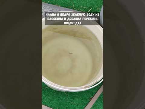 Video: Perhydrol untuk kolam renang: kebaikan dan keburukan