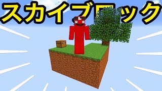 マインクラフトのやり方教えてください。【スカイブロック】実況#1 screenshot 3