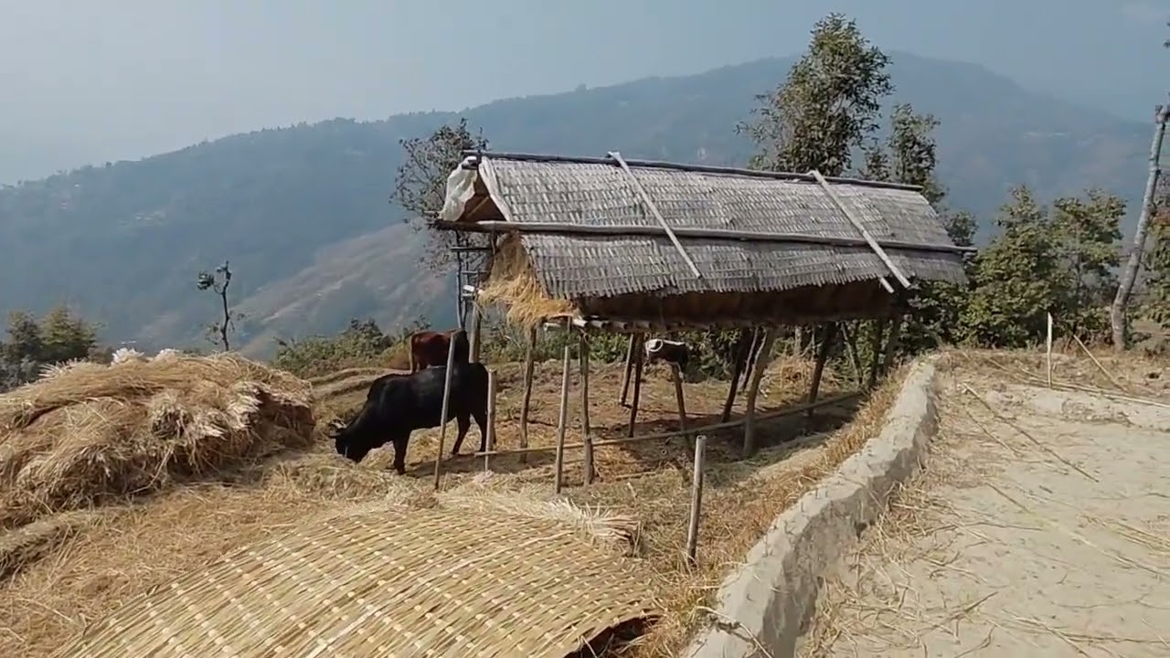 हाम्रो गाउँघर😘😘☺️