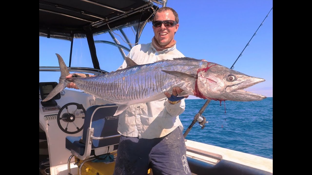 Trolling for Spanish mackerel YouTube